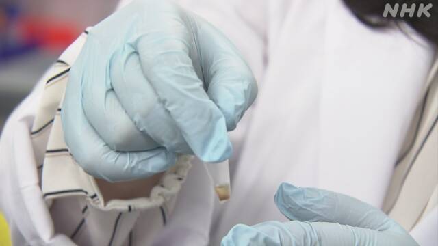 Story illustration